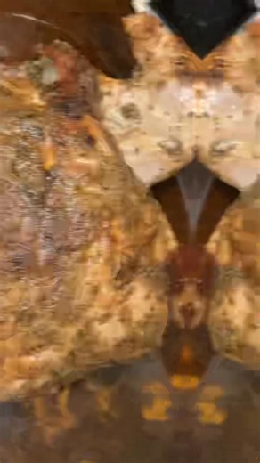 Take your turkey, chicken, or seafood to the next level with my Cajun Garlic Creole Marinade Injector Butter! It’s a smooth, liquid butter blend made with real butter, southern spices, and a touch of faith in every batch. Each bottle is handcrafted with prayer, seasoned to perfection, and ready to inject flavor and moisture deep into your favorite meats. ✨ Perfect for: • Thanksgiving turkeys 🦃 • Cajun seafood boils 🦐 • Chicken, steak, or veggies How to use: Warm slightly, shake well, and injec