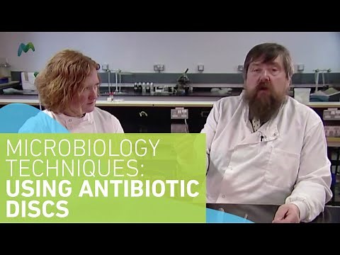 Microbiology Techniques: Using antibiotic discs