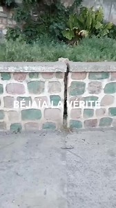 8.9K views · 190 reactions | Live se soir je vais vous lire le contenu de la plainte déposer contre les habitants de batima بث مباشر هذه السهرة لقراءة محتوى الشكوى ضد سكان حي بلاطو أميمون و حي الباطيما ليعلم جميع سكان مدينة بجاية بما يحدث | Béjaia La Vérité | Facebook