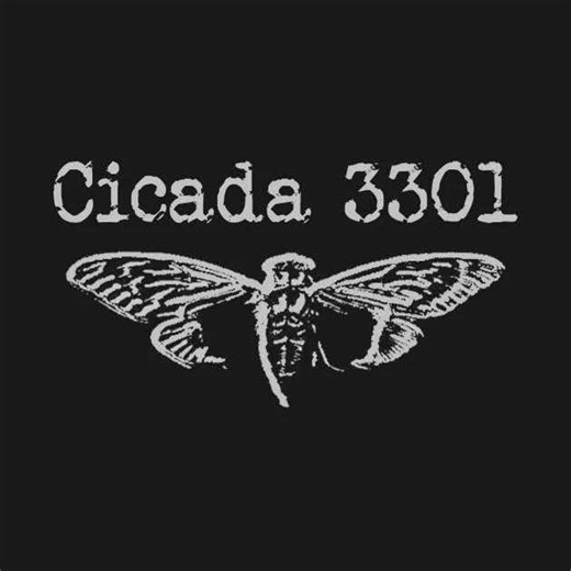#misterio#cicada#fyp#parati | Cicada 3301
