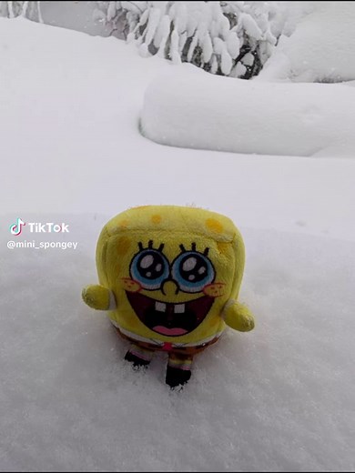 little baby sponge enjoying the (TWO FEET) of snow we got! #spongebobmemes #minispongey #spongebobsquarepants #spongebob #newjersey