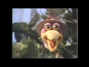 Professor Iris_Jungle Animals