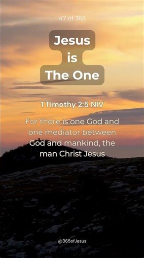 Jesus is the One - 1 Timothy 2:5 #365OfJesus #JesusIsTheOne