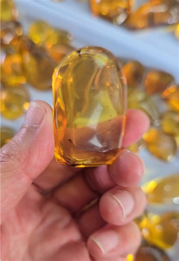 Exploring Burmite Golden Amber: Unique Properties