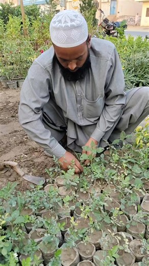 Shehraz Gardening on Reels