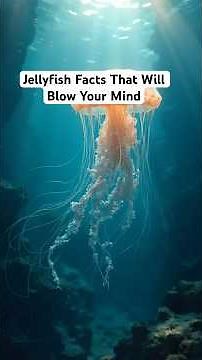 10 Fascinating Facts About Jellyfish