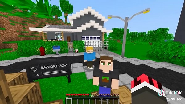 Ferited Versus Minecraft Challenge Explained