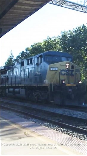 CSX Mixed Freight