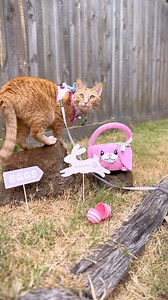 Wishing you a very hoppy Easter from Honey, Kody, and Mocha! 💖🐰🥚 #happyeaster #easter #egghunt #cutepets #cuteanimals #catsofinstagram #funideas #petparent | Princess Honeybelle