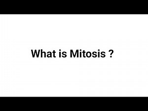 What is Mitosis ?
