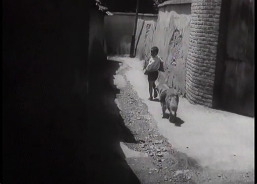 Abbas Kiarostami’s The Bread and Alley (1970) captures a small moment of childhood in a quiet neighborhood of Tehran. Using non-professional actors and real streets, the film turns a simple encounter into a study of patience, fear, and everyday problem-solving. #ambient #movie #edit #art #kiarostami