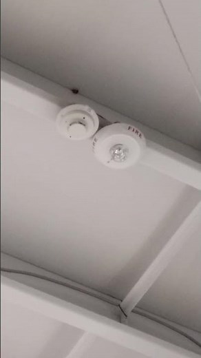 System Sensor L Series SCWL Remote Strobe