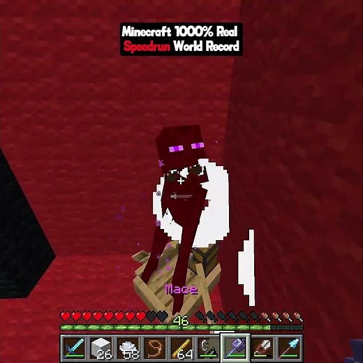 Minecraft world fastest speedrun🤯