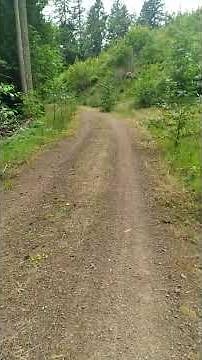 Bare Buns 5K Fun Run 7.8.2023 #1