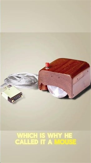 The First Computer Mouse! #facts #curosity #computer #mouse