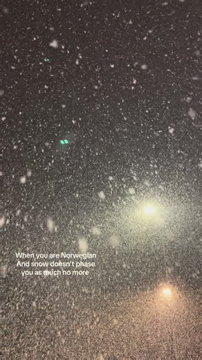 Norwegian Winter Shenanigans Under Snowfall