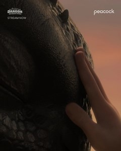 355K views · 10K reactions | Birds of a feather, we should stick together. Stream DreamWorks Animation's How to Train Your Dragon trilogy on Peacock. | Peacock TV | Facebook