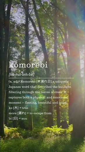 The Japanese meaning of Komorebi
