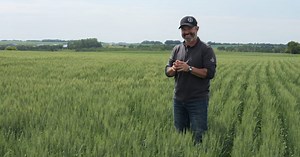 Wheat School: Dialing in sprayer speed, spray patterns, and boom height for T3 success