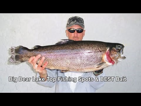 Big Bear Lake, CA Top 2 Trout Fishing Spots, BEST Bait, Big Bear Trout Fishing Tips