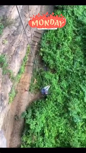 6.8K views · 33 reactions | Repelling practice till he becomes perfect #reels #reels #reelsfbシ | Tamalekawula | Facebook