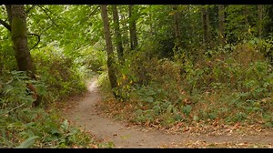 Watch Diamondback Bicycles Women's Rely Hardtail Mountain Bike on Amazon Live