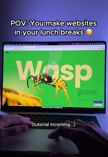 Web Design Tips for AI Website Creation