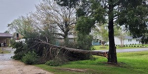 Straight line winds cause damage to Malden businesses and homes