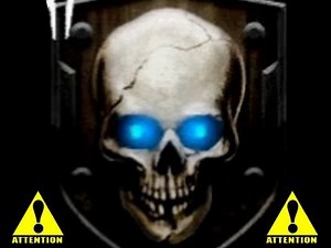 Black Ops 2 Zombies Ranking System - How it works! How to read emblems!