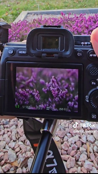 Spring is here 😍🏵 #photography #nature #spring
