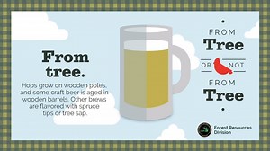 Wood you be able to guess the products that come from trees? Test your knowledge to learn the importance of sustainable forestry. https://bit.ly/2EvnPgP | Michigan Department of Natural Resources