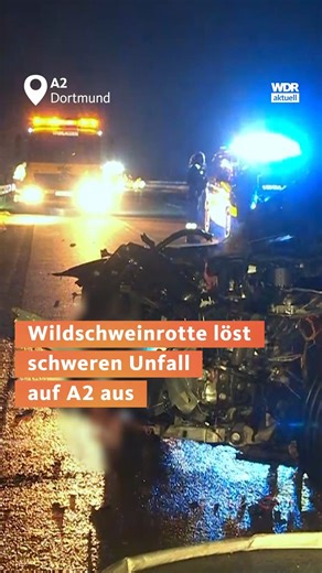 Schwerer Wildunfall auf der A2 bei Dortmund: Ein Auto brannte, eine Person wurde leicht verletzt, fünf Wildschweine sind tot. | WDR aktuell