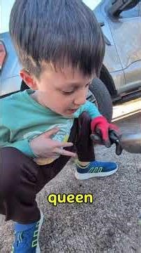 zoo crew TV episode #2 ALIEN ANT FARM