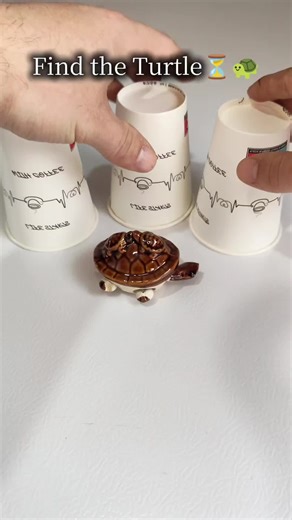Find the Turtle in 5 Seconds! ⏳🐢 #fyp #magic #comedy | turtle