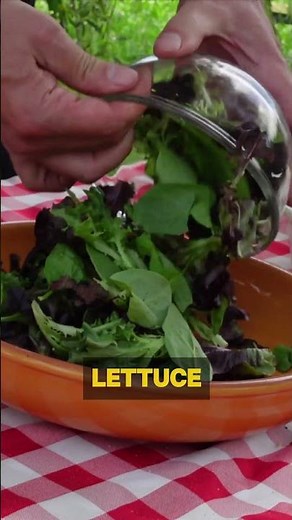 Grilled Salmon Salad with Creamy Yogurt Dressing | Mediterranean Diet