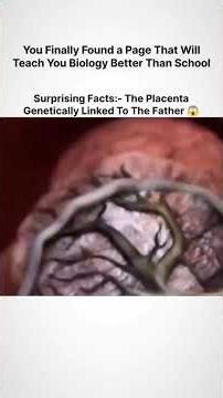 #THE PLACENTA #animation #knowledge #science