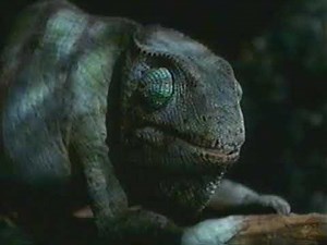 Budweiser Chameleon commercial from 1999