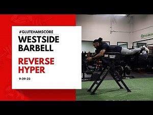 The Reverse Hyper by West Side Barbell - Glute hams and lower Back/Core