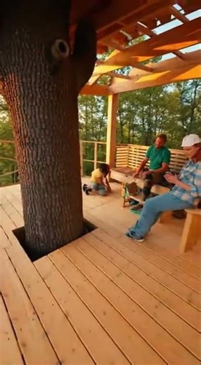 Building an Epic Treehouse in a Giant Oak Tree