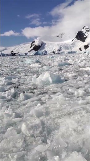 brash ice cruising. #traveladventures #antarctica