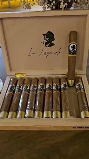 Palo flow_lyrics on TikTok