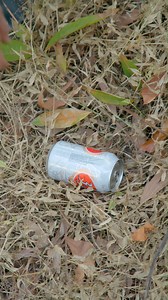 29K views · 66 reactions | Survival Skills: Mosquito and Midge Repellent | Feedy | Facebook