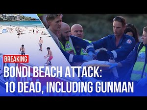 Explained: Multiple dead as Bondi Beach attacked by gunmen