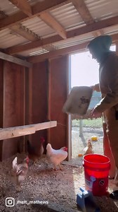 Cue Halloween theme song 🙄 | Matt Mathews