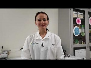 How to Collect Forensic Evidence at a Crime Scene using Gentueri CollectEject™ Touch DNA Swab