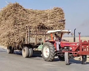 New Holland 640 Tralle Ne Bridge Py Tractor ko Rok Dya Full Watch🤣🥵 | Champion kabaddi Club