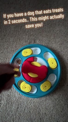 Engaging Interactive Bone Puzzle for Dogs