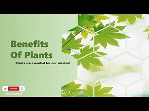 Transform Your Title Slide with Push Transition in PowerPoint 2024