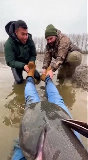Shocking Catfish Attack in River, Friends Watch This Giant Fish Strike