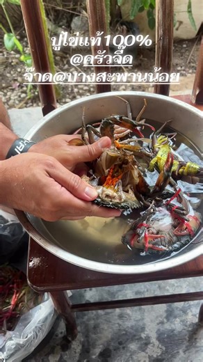 วิดีโอของ Kickapoo😎 (@kickapoo67) พร้อมเพลง เสียงต้นฉบับ - พื้นที่ฮีลใจ